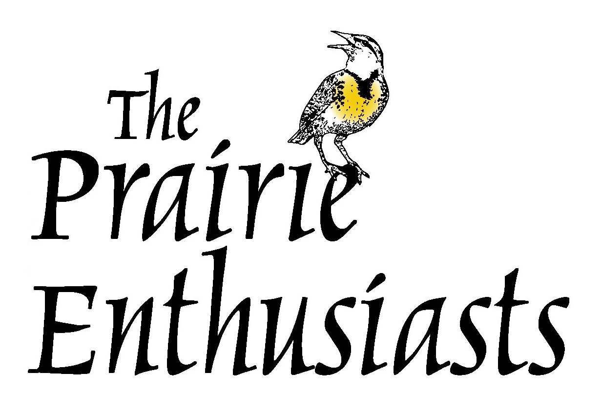 A Conference to Address Environmental Change